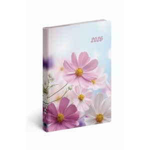 Fiestina B/6 zsebnaptr